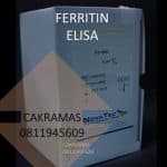 Ferritin Novalisa