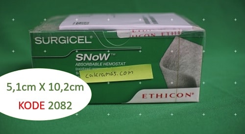 SNOW 2082